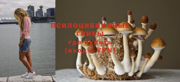 хмурый Богородицк